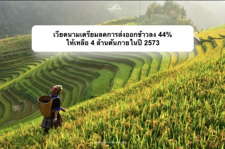 เวียดนาม เตรียมลดการส่งออกข้าวลง 44%